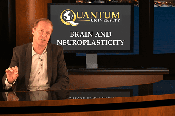 Brain and Neuroplasticity Course by Dr. Joe Dispenza
