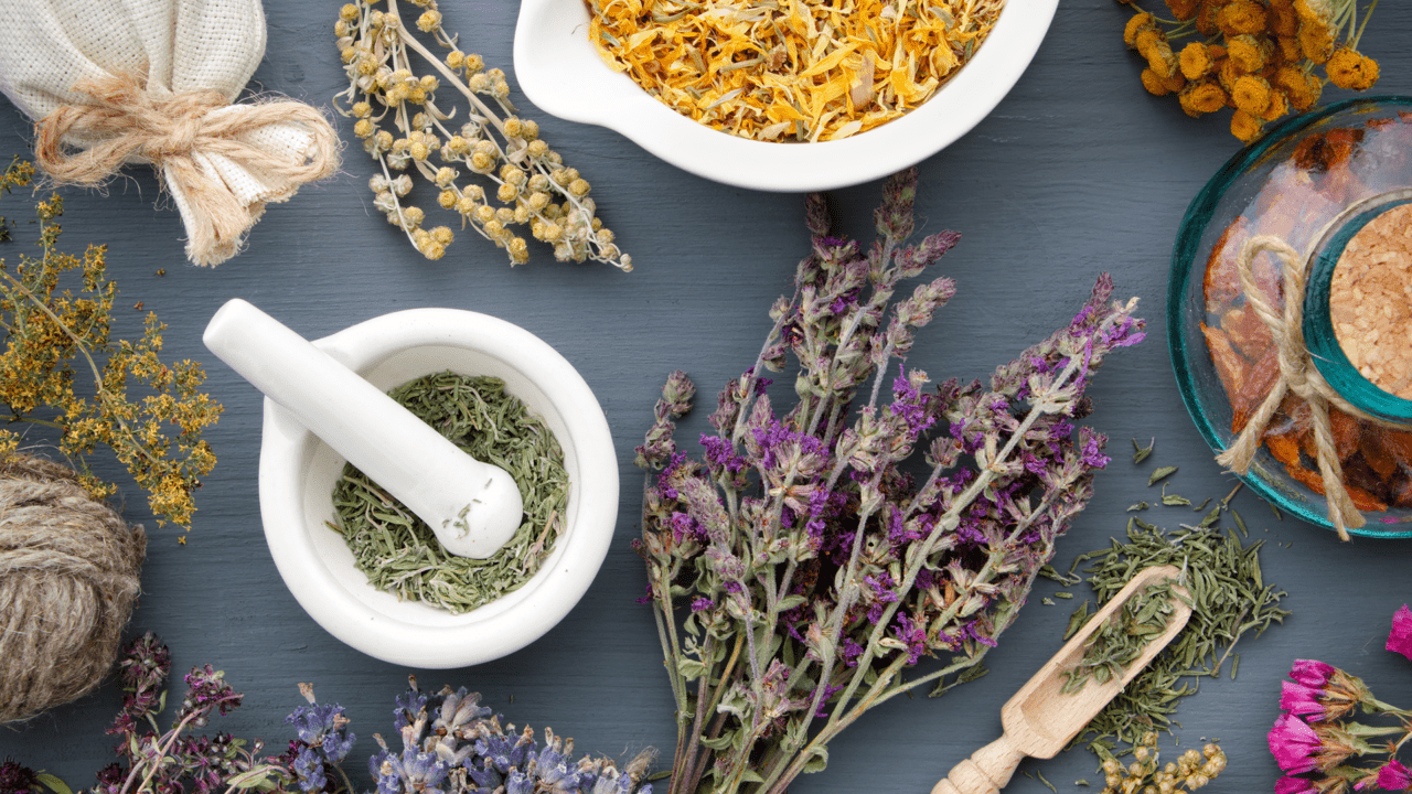 Natural health degree programs Quantum University