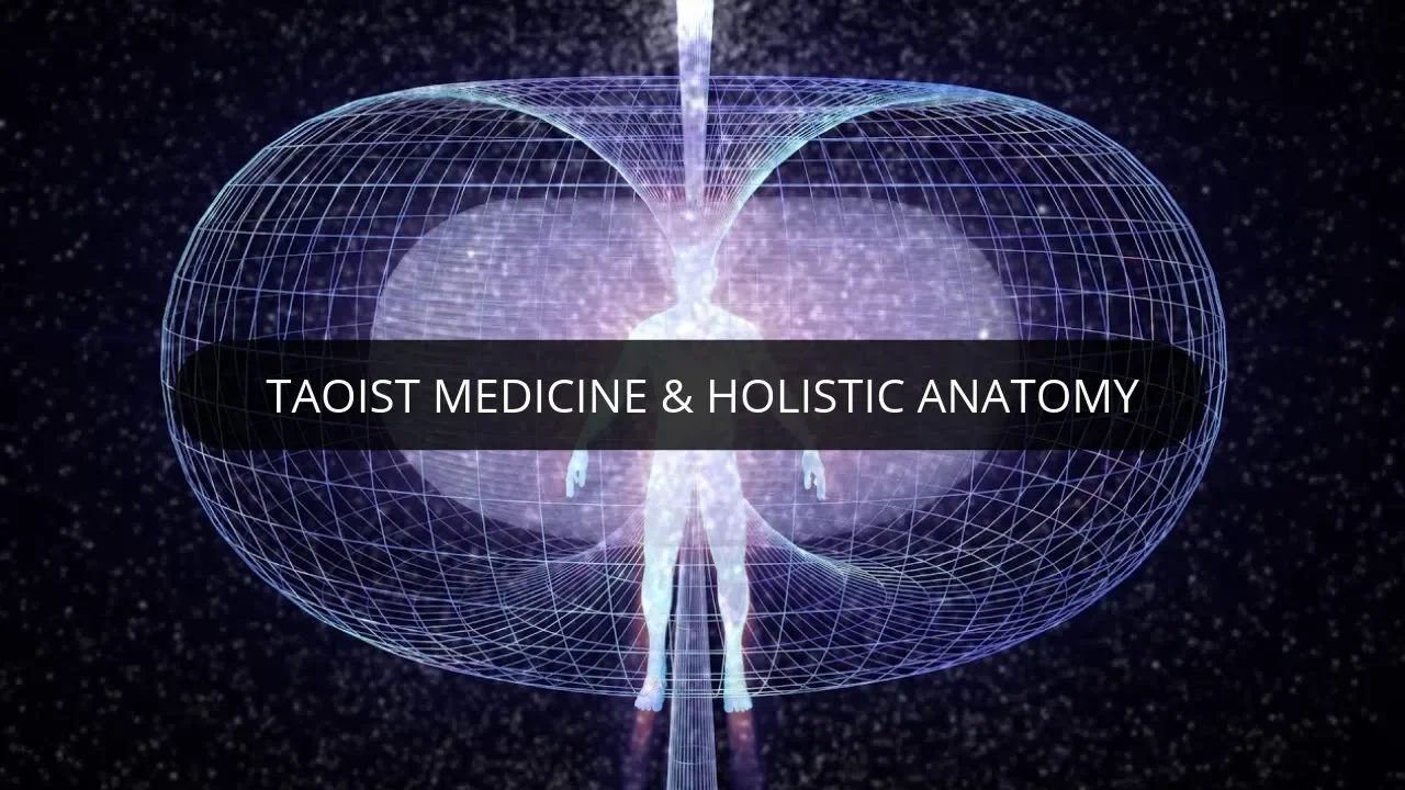 Taoist Medicine & Holistic Anatomy