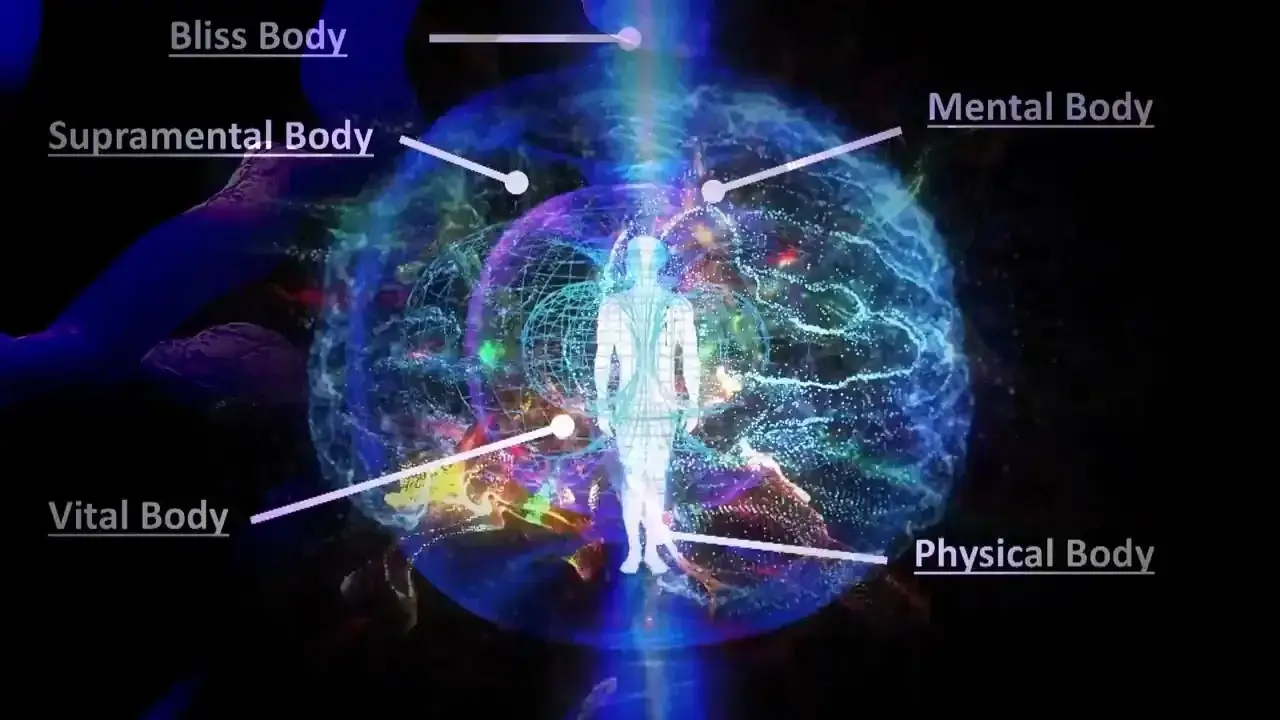 The Five Bodies of Consciousness